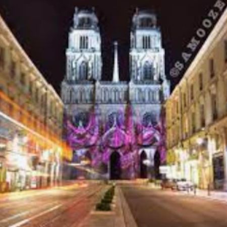 Chaleureux Appart, Proche De La Loire Avec Parking Orléans Kültér fotó