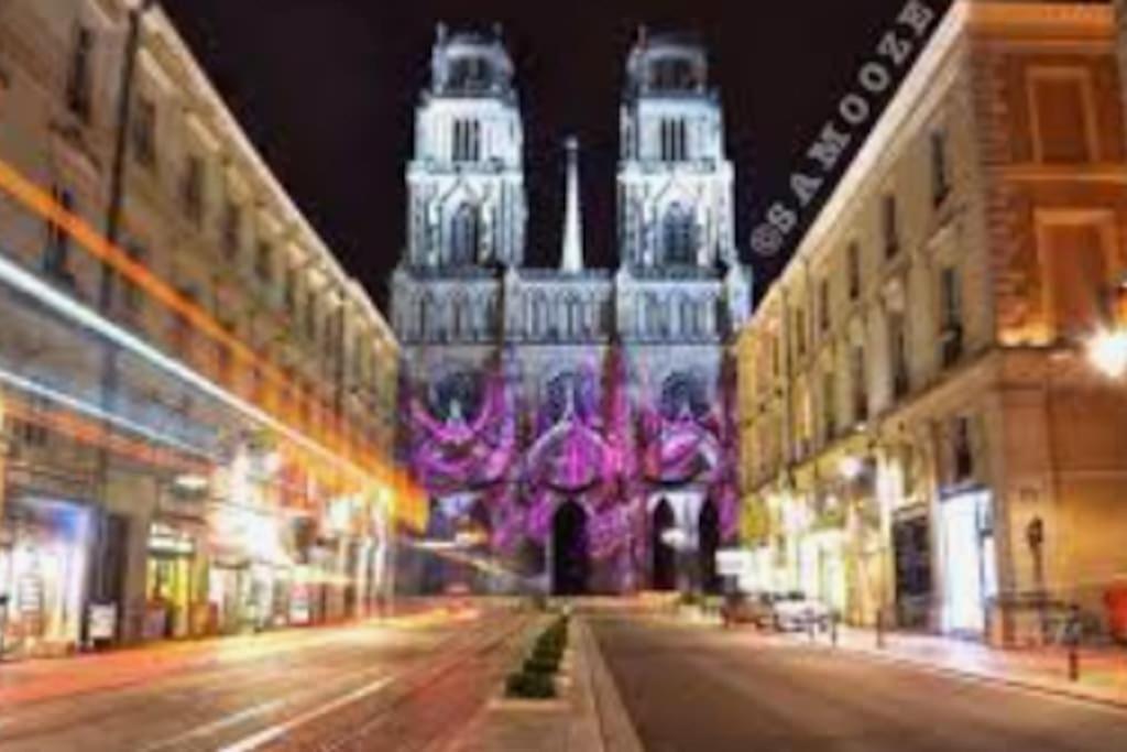 Chaleureux Appart, Proche De La Loire Avec Parking Orléans Kültér fotó